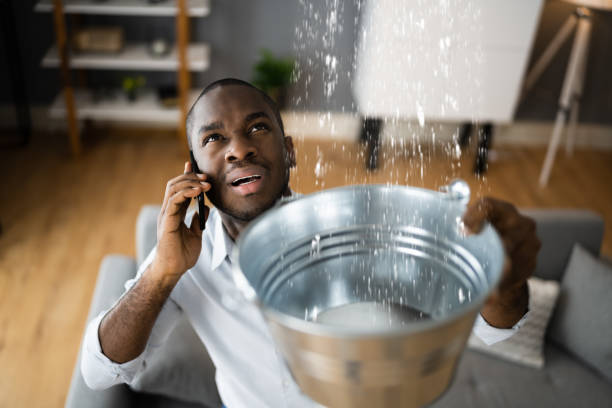 Best Water damage restoration insurance claims  in Brookneal, VA