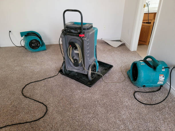 Best Residential water damage restoration  in Brookneal, VA