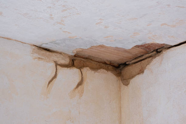 Carpet water damage restoration in VA