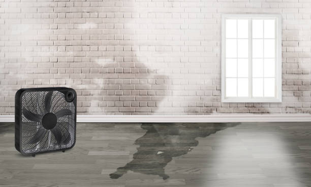 Best Commercial water damage restoration  in Brookneal, VA