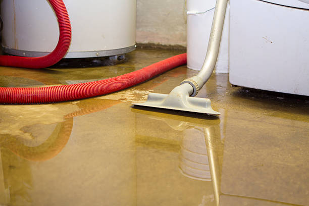 Best Flooded house restoration  in Brookneal, VA
