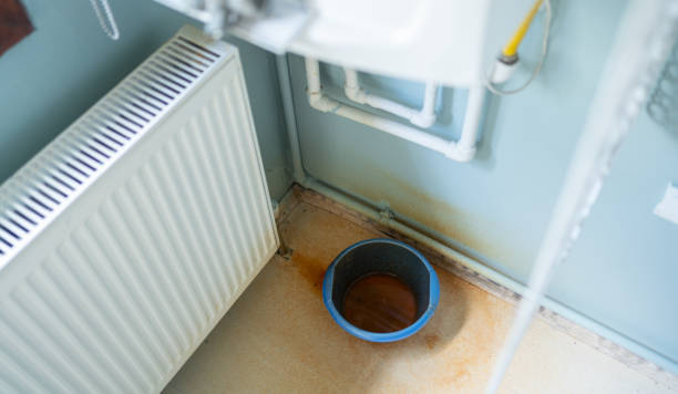 Best Fire Damage Restoration  in Brookneal, VA