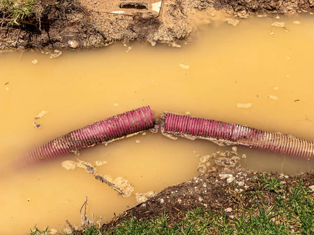 Best Water damage restoration near me  in Brookneal, VA