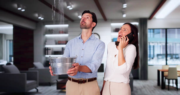 Best Professional water damage repair  in Brookneal, VA