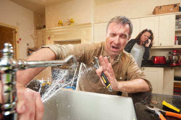 Best Fire Damage Restoration  in Brookneal, VA